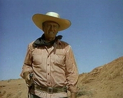 The Searchers