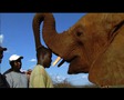 Featurette: Kenya